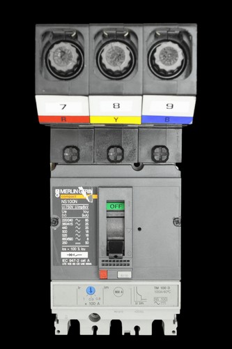 Merlin gerin 100 amp 25ka - 100,